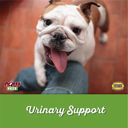 Urinary Support for Dogs/Cats, 90 Chewable Tablets, by NOW Pets