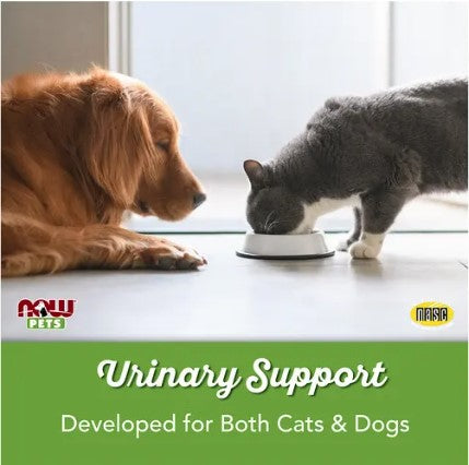Urinary Support for Dogs/Cats, 90 Chewable Tablets, by NOW Pets
