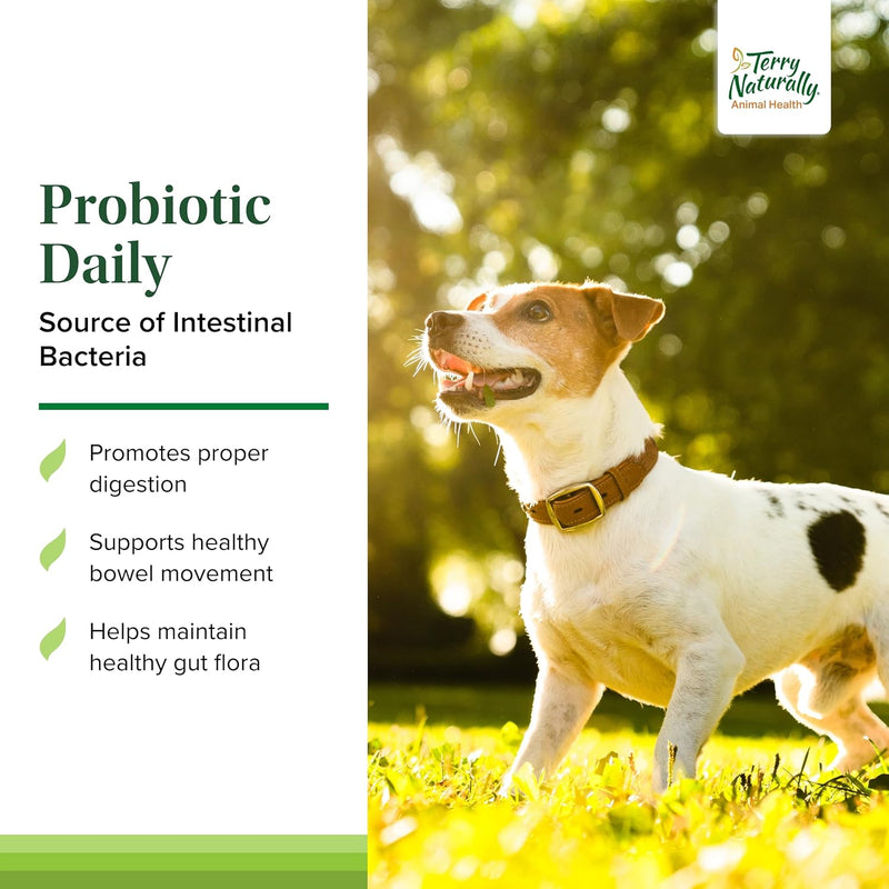 Probiotic Daily - 60 Chewable Tablets by Europharma