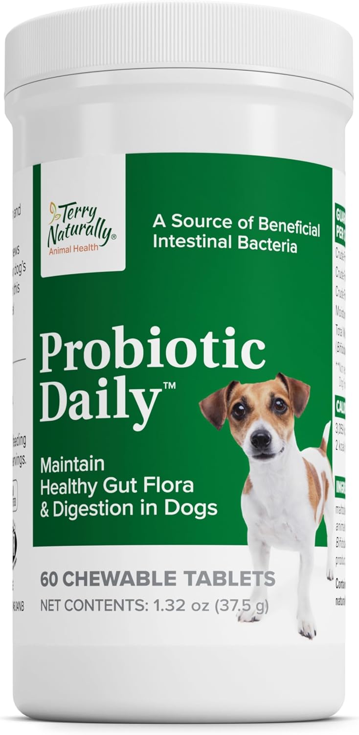 Probiotic Daily - 60 Chewable Tablets by Europharma