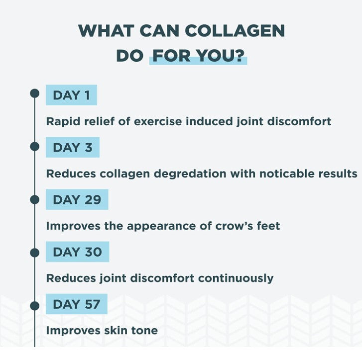 Multi Collagen 90 Capsules, by Ancient Nutrition