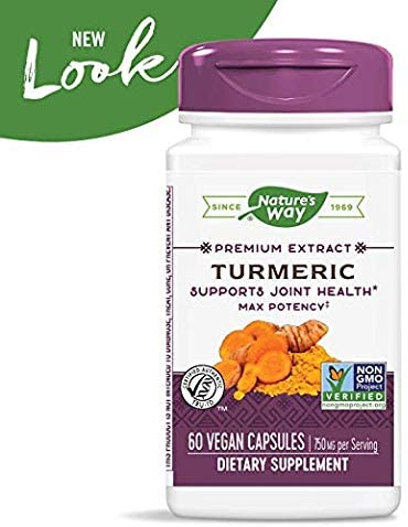 Turmeric Standardized Max Potency 750 mg 60 Vegetarian Capsules by Nature&