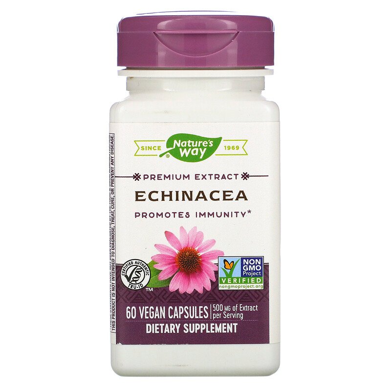 Echinacea Standardized 60 Veg Capsules by Nature&