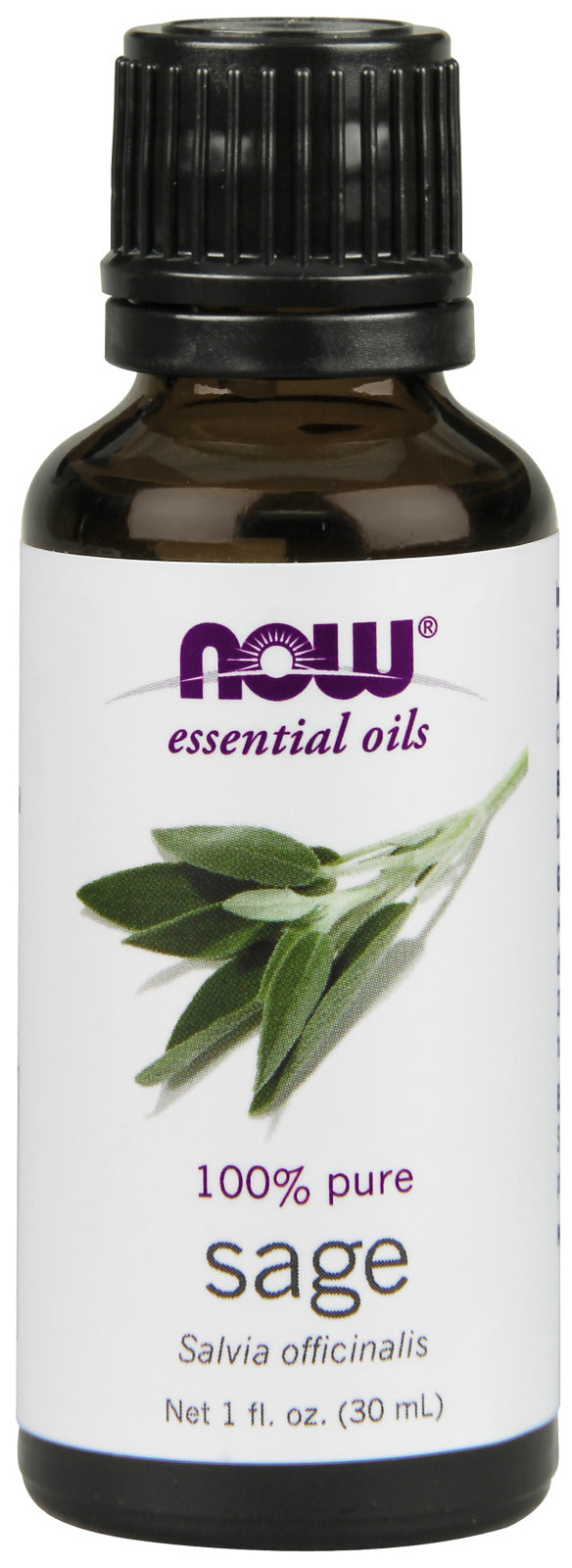 Sage Oil 1 fl oz (30 ml) | By Now Essential Oils - Best Price